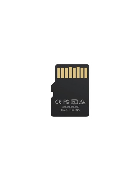 Biwin MS100 microSDXC UHS-1 256GB C10 U3 V30 A1