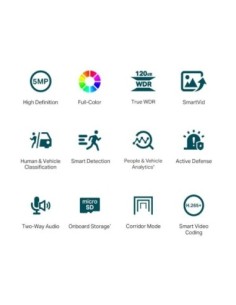 VIGI Cámara IP Turret C450 5MP Plástico Full-Color 2