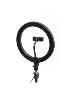 iggual Kit Aro luz LED 10" + Trípode 200 cm