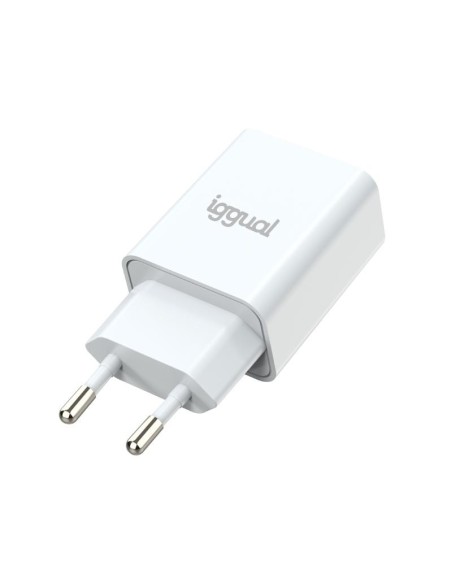iggual Cargador de pared 1xUSB 5V/2.4A (12W)