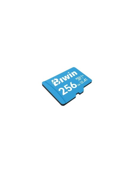 Biwin MS100 microSDXC UHS-1 256GB C10 U3 V30 A1