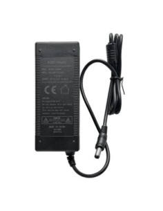 iggual Adaptador corriente AC/DC 12V 4A monitor