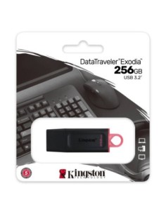 Kingston DataTraveler DTX 256GB USB 3'2 Gen1 Negro 2
