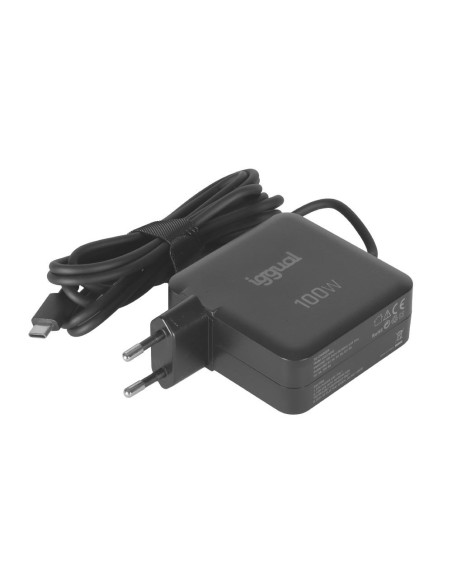 iggual Cargador portátil y móvil tipo C PD 100W