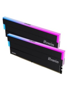 Biwin DW100 DDR5 UDIMM 6000MHz 32G(16G*2) CL30 RGB