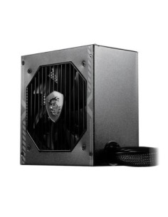 MSI Fuente Alimentación MAG A650BN 650 W 20+4 pin