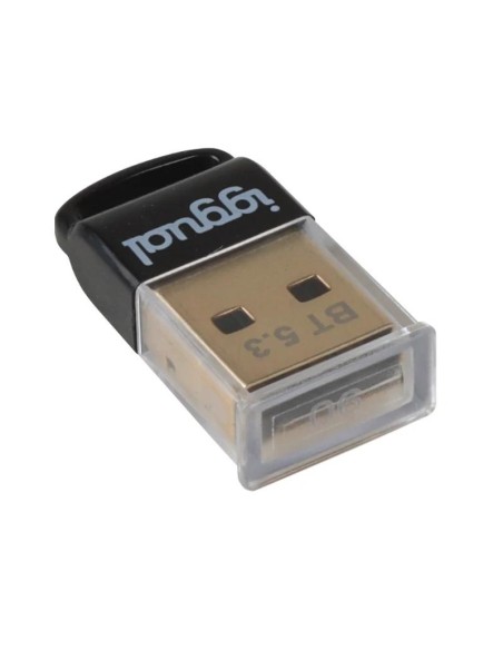 iggual Adaptador USB 2'0 mini Bluetooth 5'3